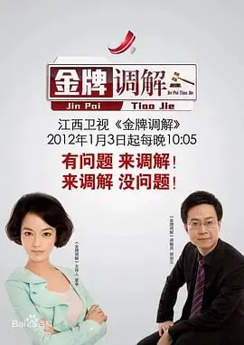 金牌调解 2011海报